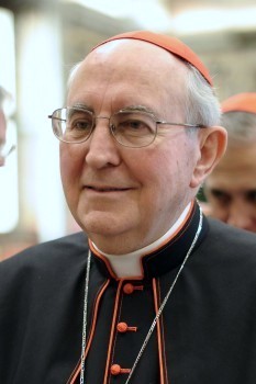Cardinal Agostino Vallini1
